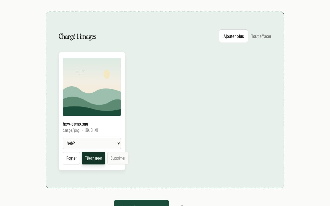 Carte d'image avec le bouton de téléchargement mis en avant et le téléchargement groupé en dessous